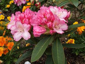 20110420.jpg