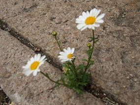 201104202.jpg