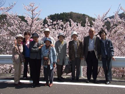 2011hanami3.jpg