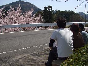 2011hanami4.jpg