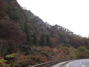 2011kouyou5.jpg