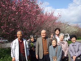 2011ume.jpg