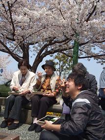 2012sakura5.jpg