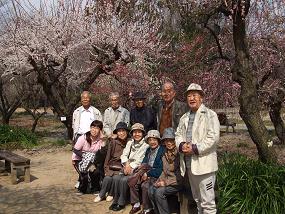 2012shidareume2.jpg