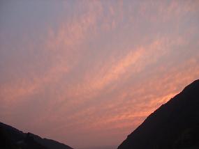 hotaru20113.jpg