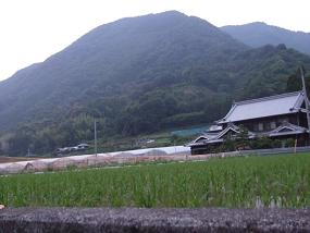 hotaru20114.jpg