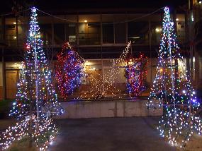 irumi20103.jpg